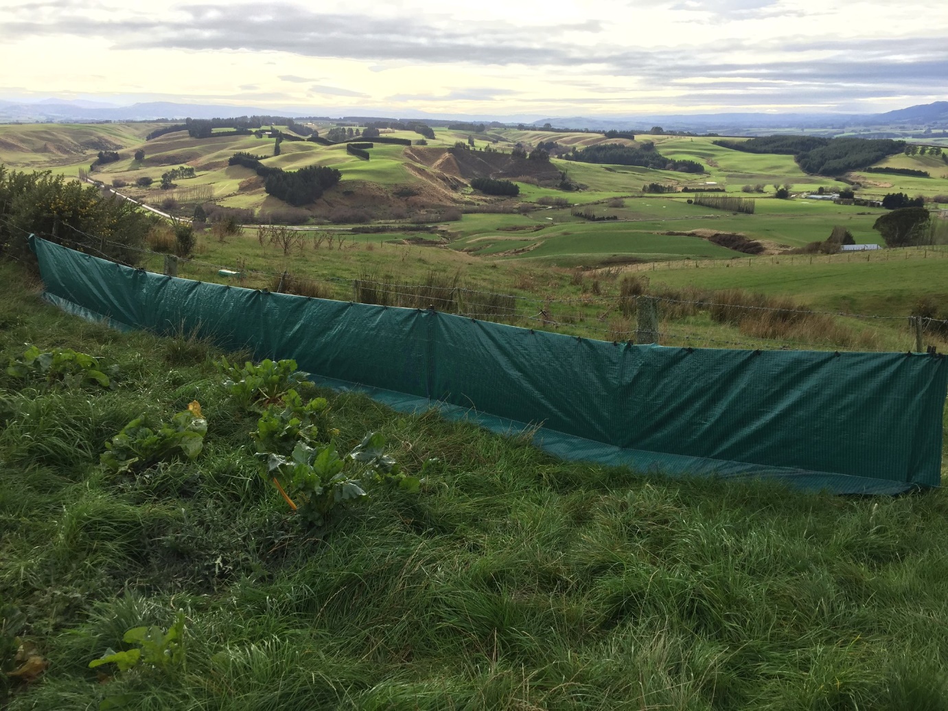 Long 'before' shot of a green plastic-lined fence on the side of a hill.
