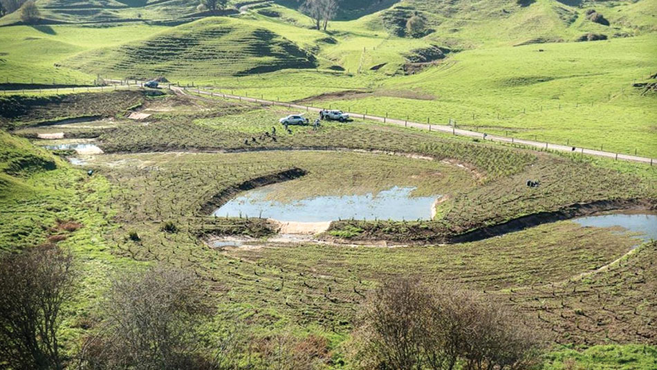 Long-shot of a paddock that has been evsavated with serveal vortex-pond designs chained together and the surrounding dirt planted with new trees.
