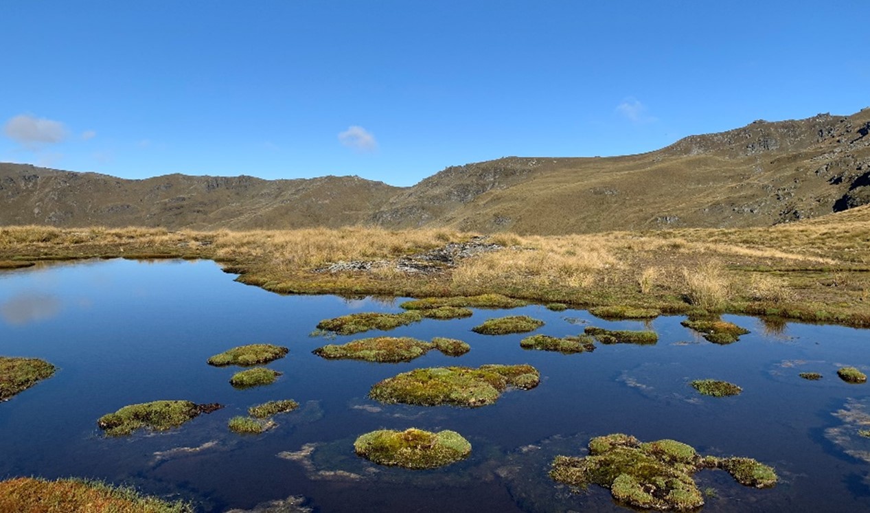 Natural alpine wetland with tarn.