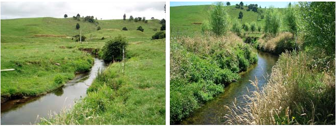 Before and after photos of a creek that shows plant growth around the new fenced-off area.