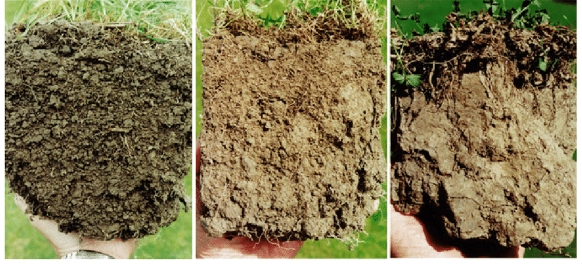 Three cross-sections of dirt: No smooth parts, Clay-looking dirt, Hard, baked-clay-looking dirt.