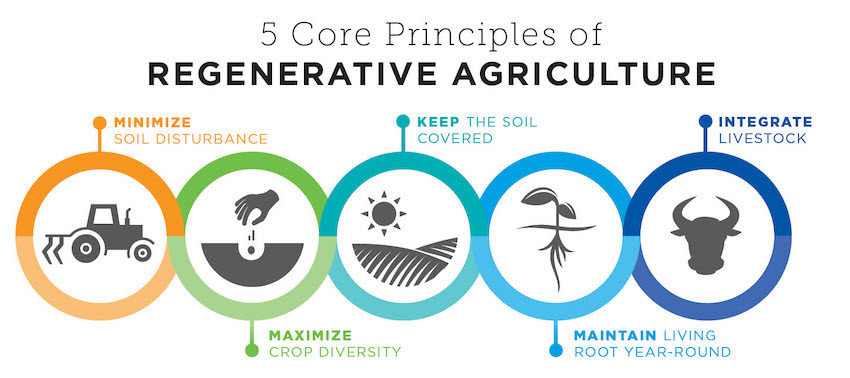 Pretty diagram of the 5 core principles of regenerative farming in each in their own coloured circles.