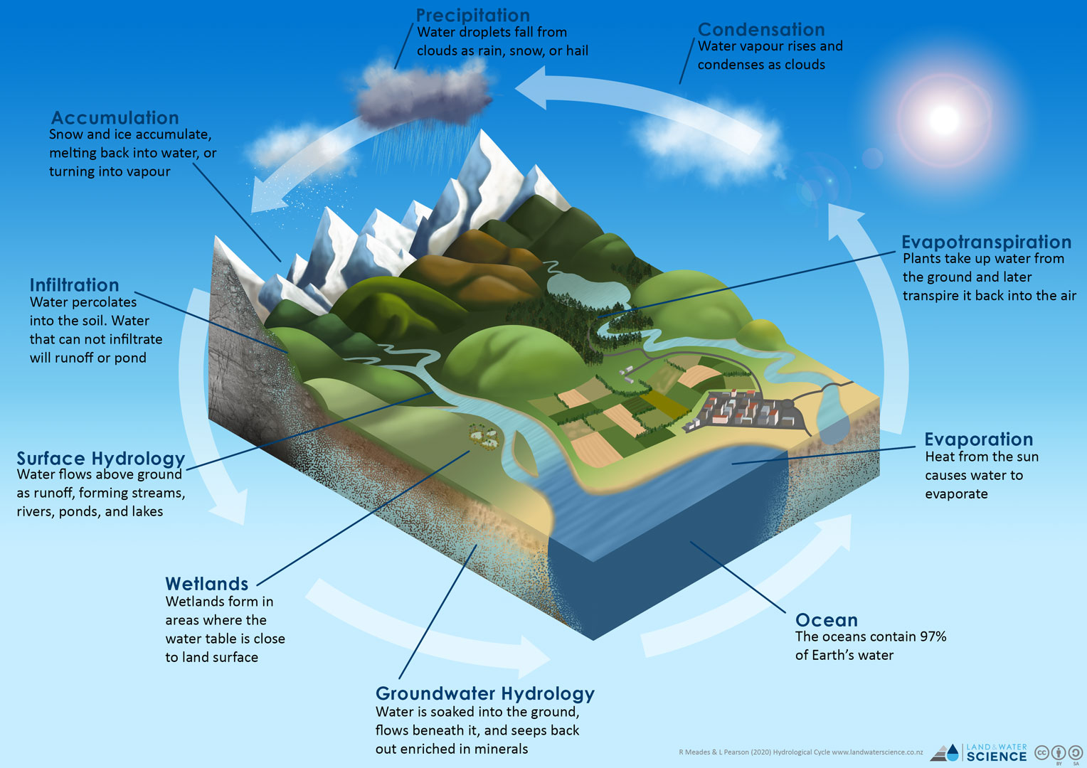 3D diagram of the cycle water takes though the landscape, into the ocean, evaporation, and precipitation.
