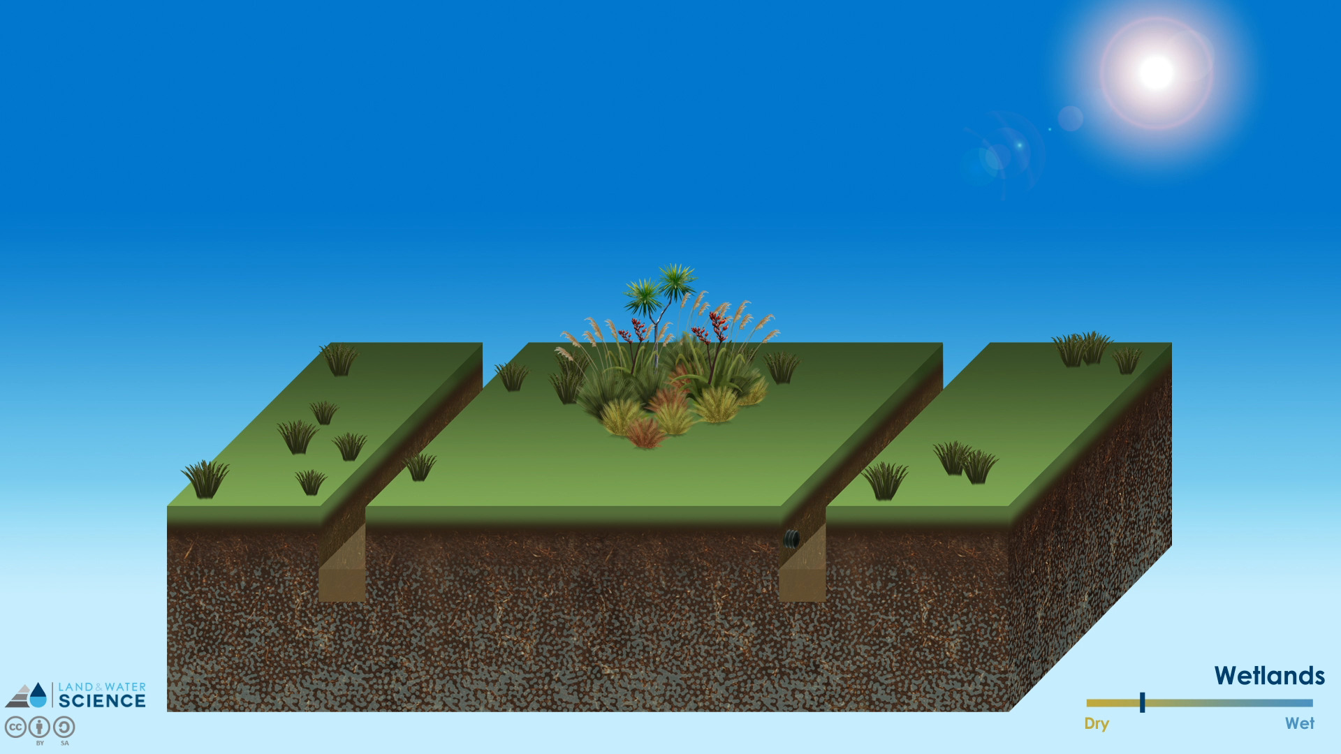 3D diagram of ditch drains running though a planted area